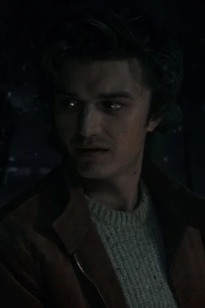Steve Harrington | One Wish Willow