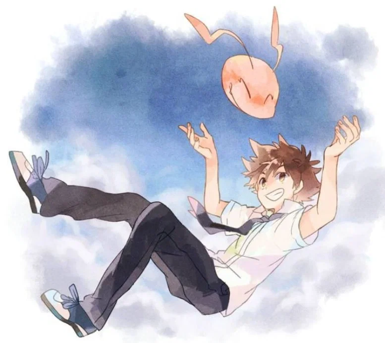 ❤️*~Taichi "Tai" Kamiya~*❤️