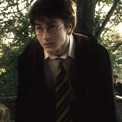 Harry Potter | You got caught? 
