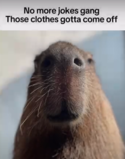 Taking requests [CLOSED]