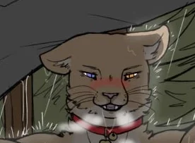 Mamaity | Big cat want a lil cat