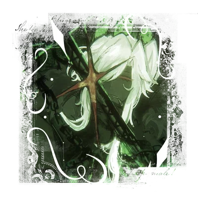 ★ : 1x1x1x1 . .