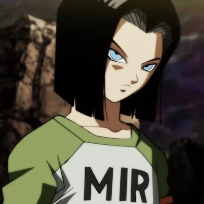 Android 17 | Suspicions