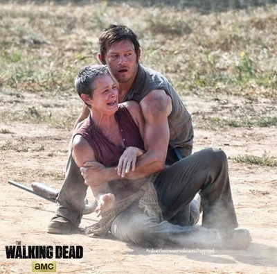Daryl Dixon TWD  “The Survivor in the Barn”