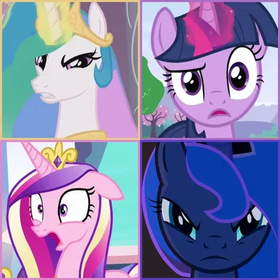 Princess Interrogation [Alicorn Tetrarchy]
