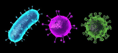 Love virus