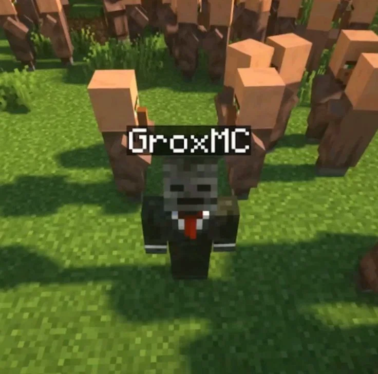 GroxMC