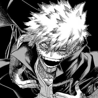 ★ Touya Todoroki —🔥