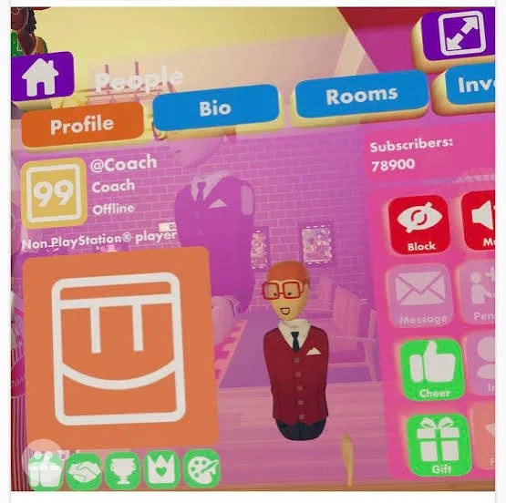 Rec room Coach