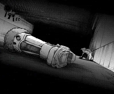 The Fall of the Gray Cinderella.