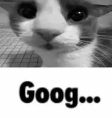 Goog...