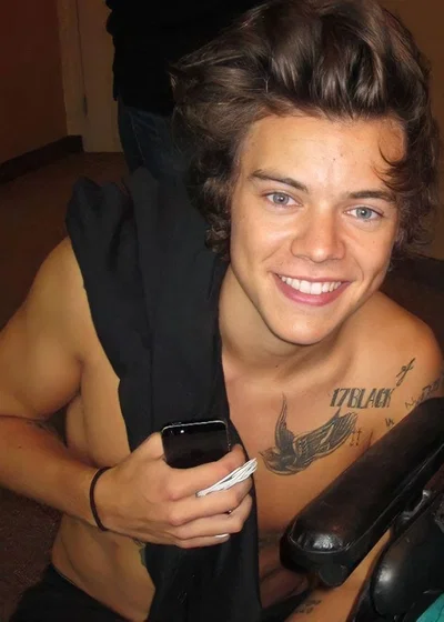 Harry Styles ~Stepbrother~2013