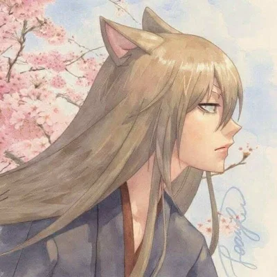 Tomoe