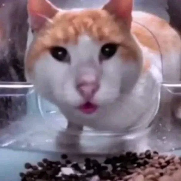 Hey im bac- WHAT THE   HAPPENED HERE??