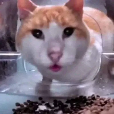 Hey im bac- WHAT THE   HAPPENED HERE??