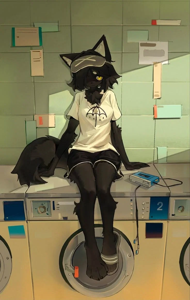 The Laundromat Cat