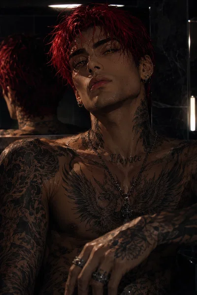  ZAYN | THE ENTITLED ICON