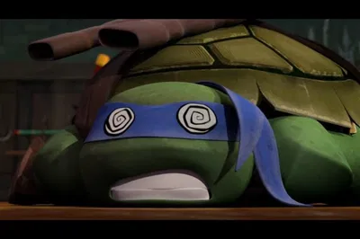 Hamato Leonardo༉‧+ ̊.