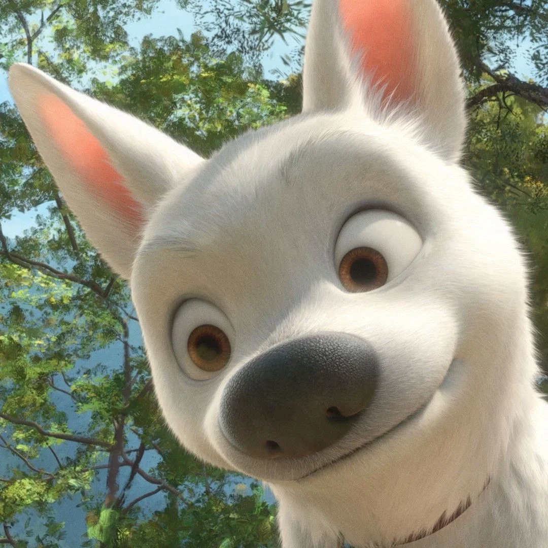 Bolt