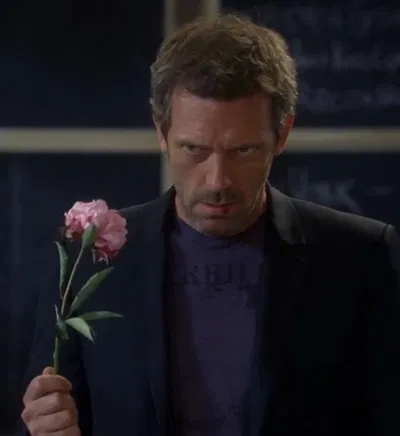 「 Gregory House 」