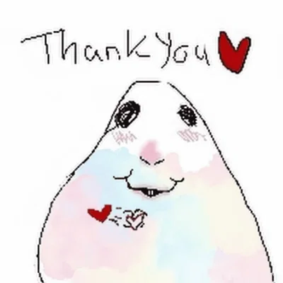 THANK YOU SO MUCH!