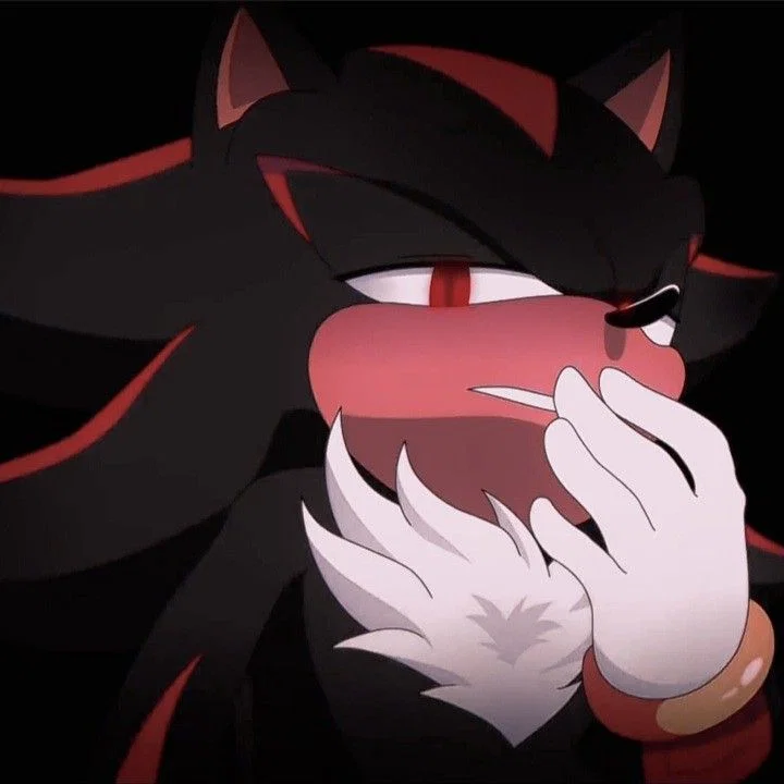 Shadow the Hedgehog