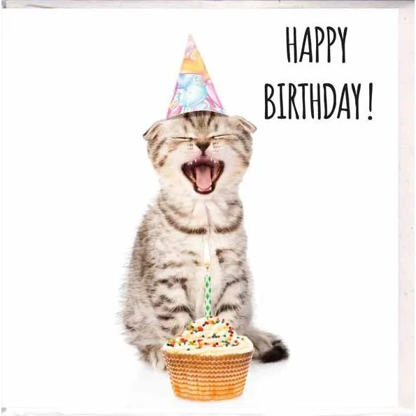My Birthday!