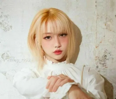Lee Felicia