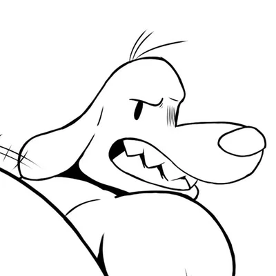 Samuel the dog