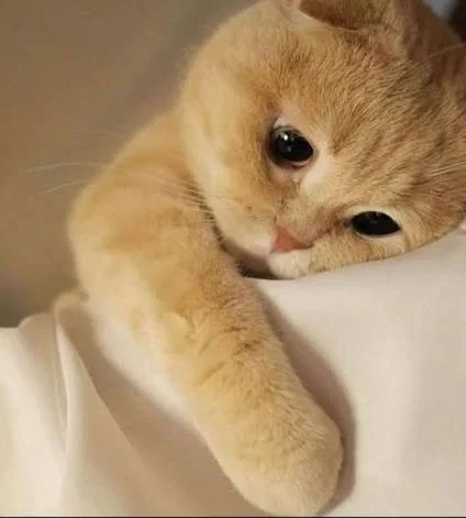 I give up.