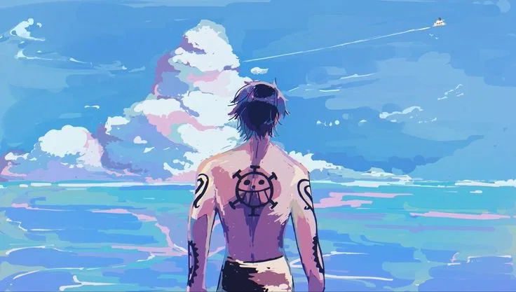 Trafalgar D. Water Law / One Piece
