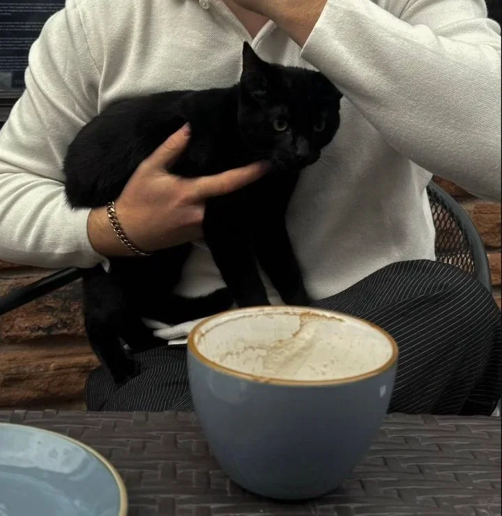 Dono do catcafé/•᷅‎‎•᷄\੭