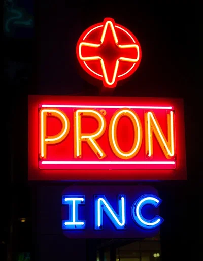 Porn Incorporated | Porn Star Simulator