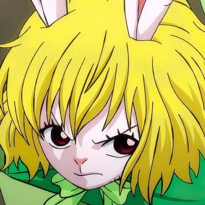 Carrot 🐰🥕