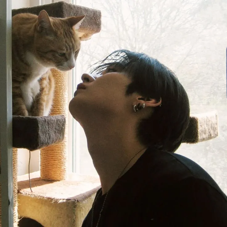 Lee Know >< Lee Minho !!