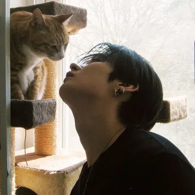 Lee Know >< Lee Minho !!