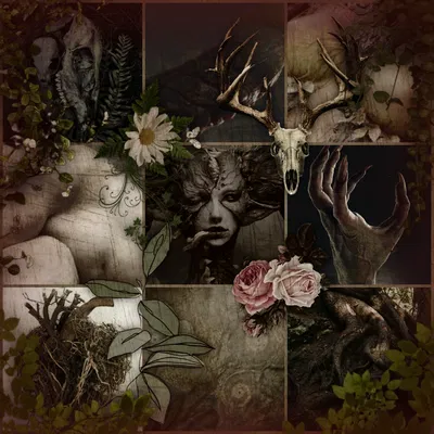 Samsara, the nature demon ⋆.ೃ࿔🌸*:・