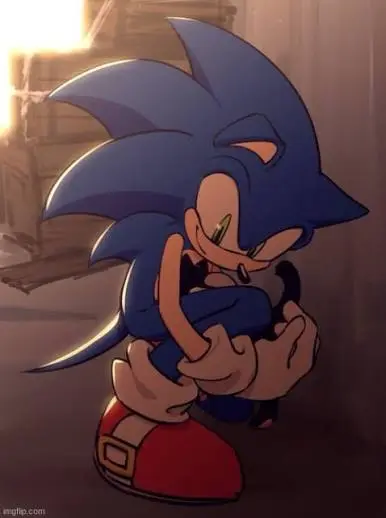 ☆《Sonic The Hedgehog》☆
