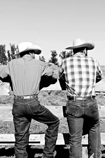 COLTER AND BOONE | Divided Attention