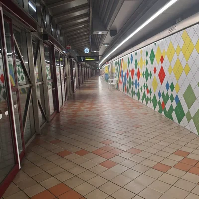 Mha different universe??