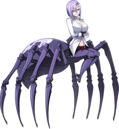 Monster Musume no Iru Nichijō: Rachnera Arachnera
