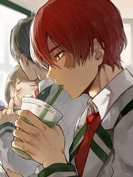 Shoto Todoroki | BL