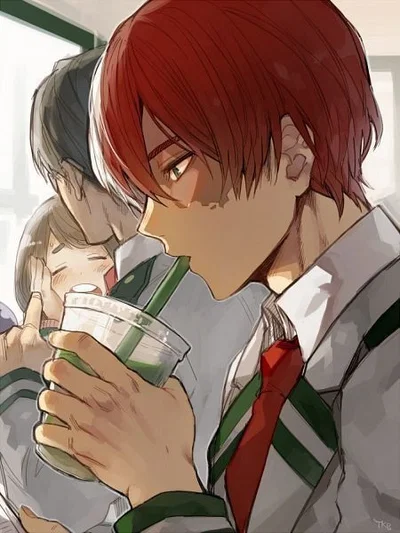 Shoto Todoroki | BL