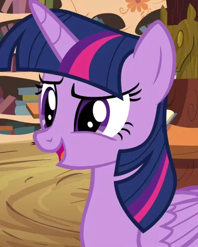 Princess Twilight Sparkle | MLP