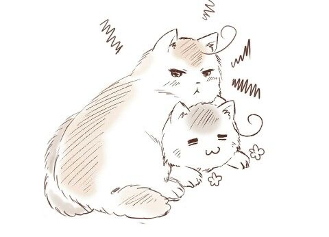 Itabro cats