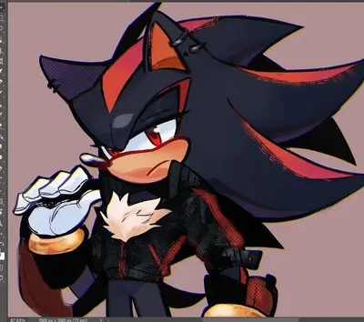 | Shadow the hedgehog |