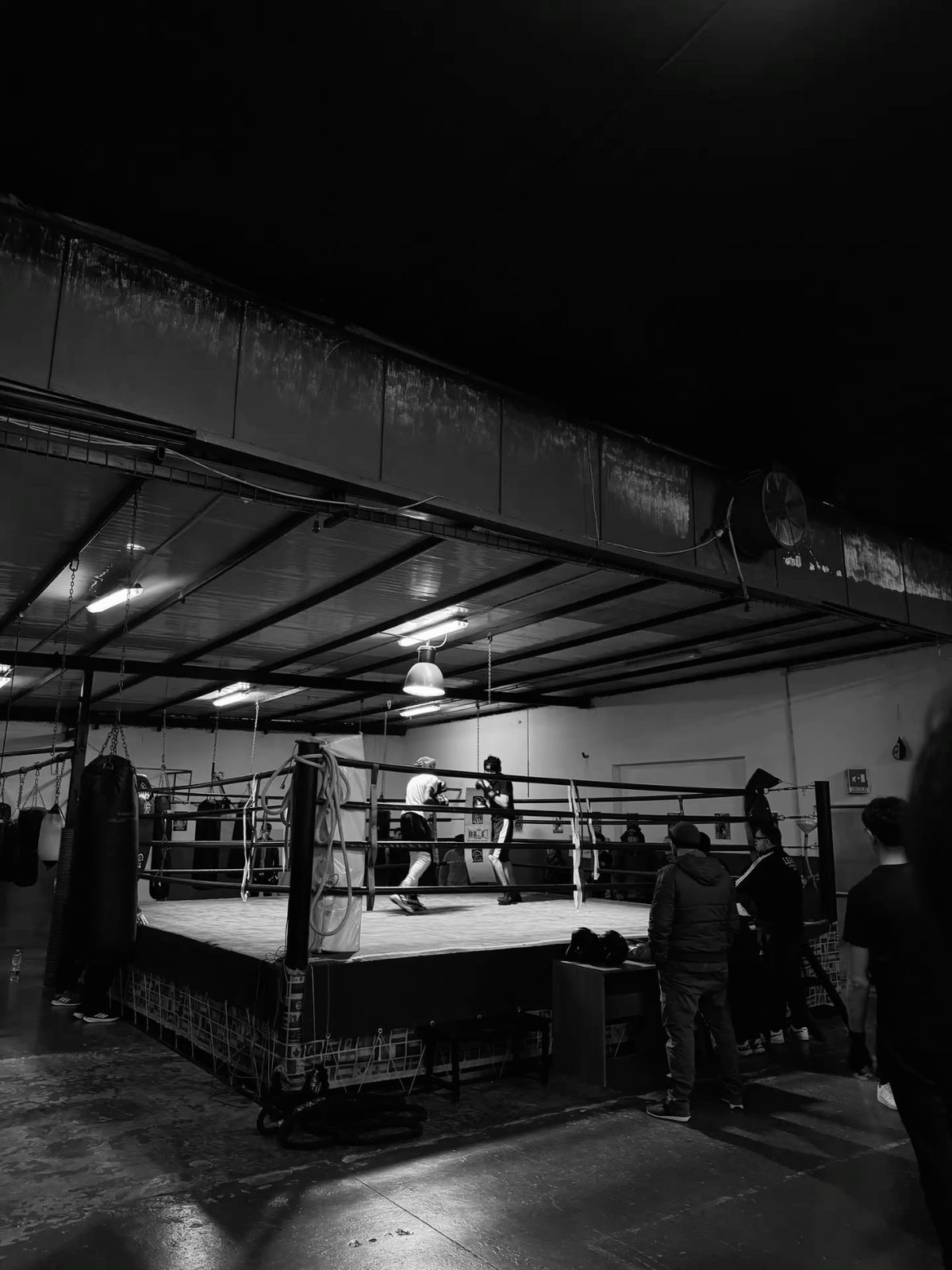 Fight League — Boxing Career RPG