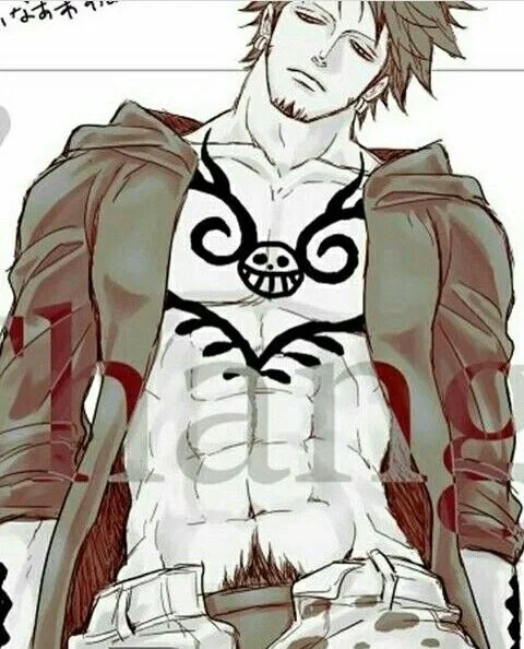 Trafalgar Law ☆|BABY FEVER|☆