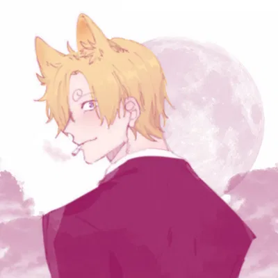 Sanji | WEREWOLF ⭐