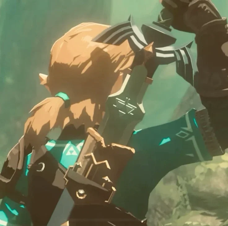 Link - TotK 